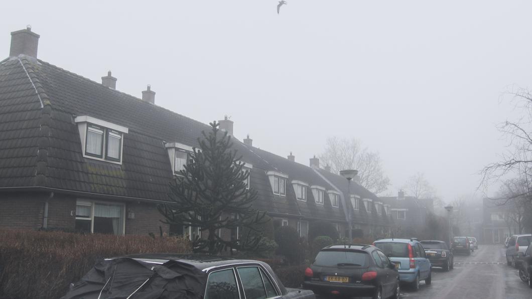Mistige straat Houtrookoverlast
