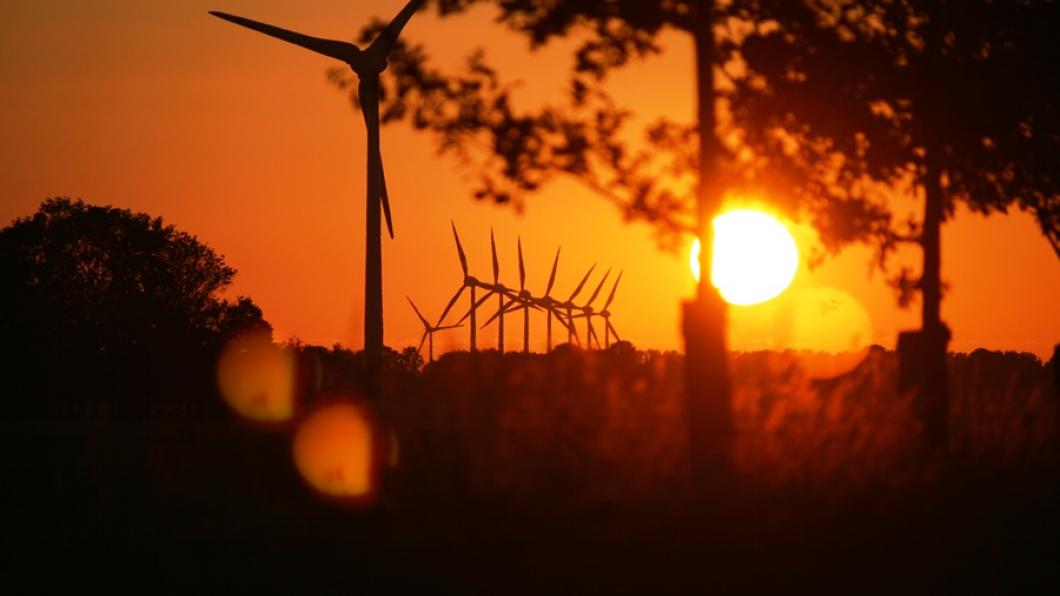 Windmolens bij Biddinghuizen